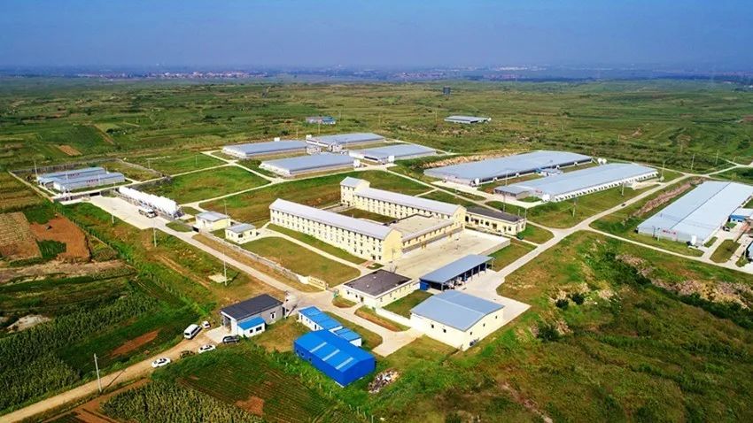 255f61c73e6c1600 3499拉斯维加斯(官方认证)网站-Made in PRC