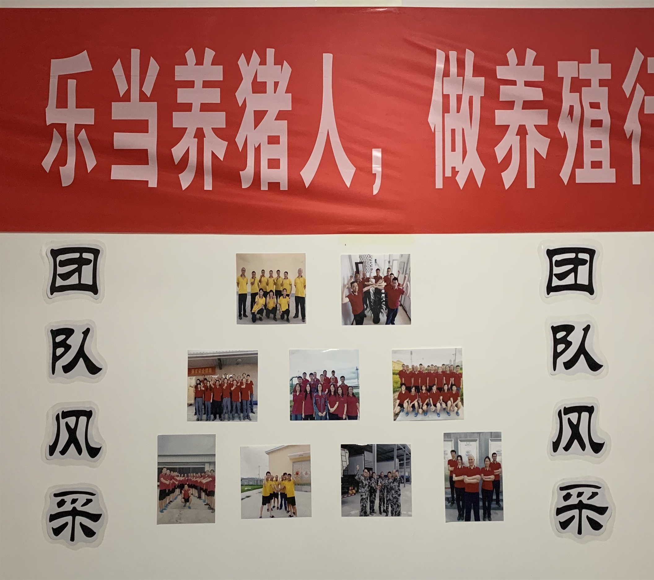 3499拉斯维加斯(官方认证)网站-Made in PRC