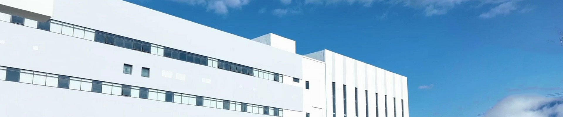 发展过程